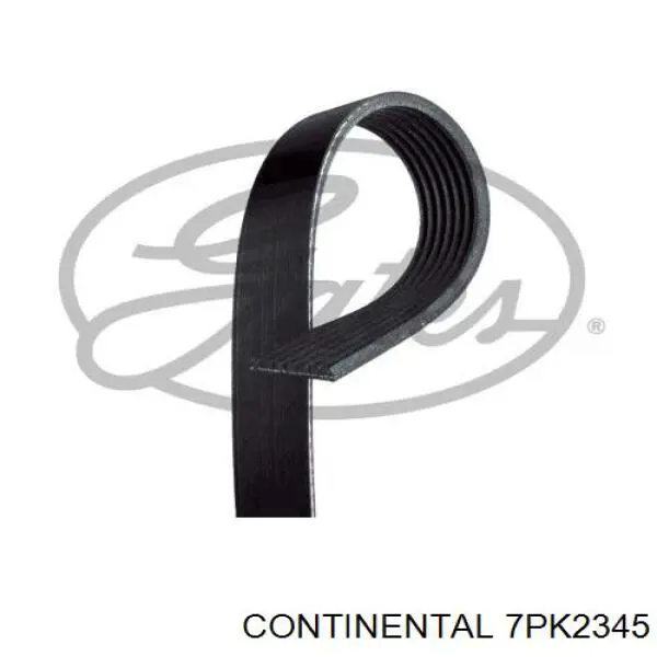7PK2345 Continental/Siemens Correa poly v