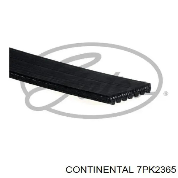 7PK2365 Continental/Siemens correa trapezoidal