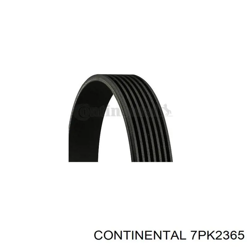 7PK2365 Continental/Siemens Correa poly v