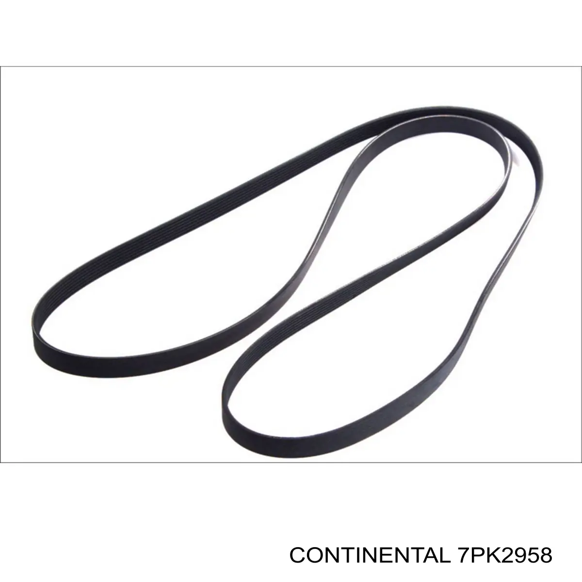 7PK2958 Continental/Siemens Correa poly v