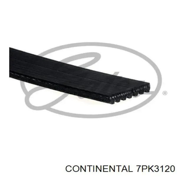 Correa de alternador 7PK3120 Continental/Siemens