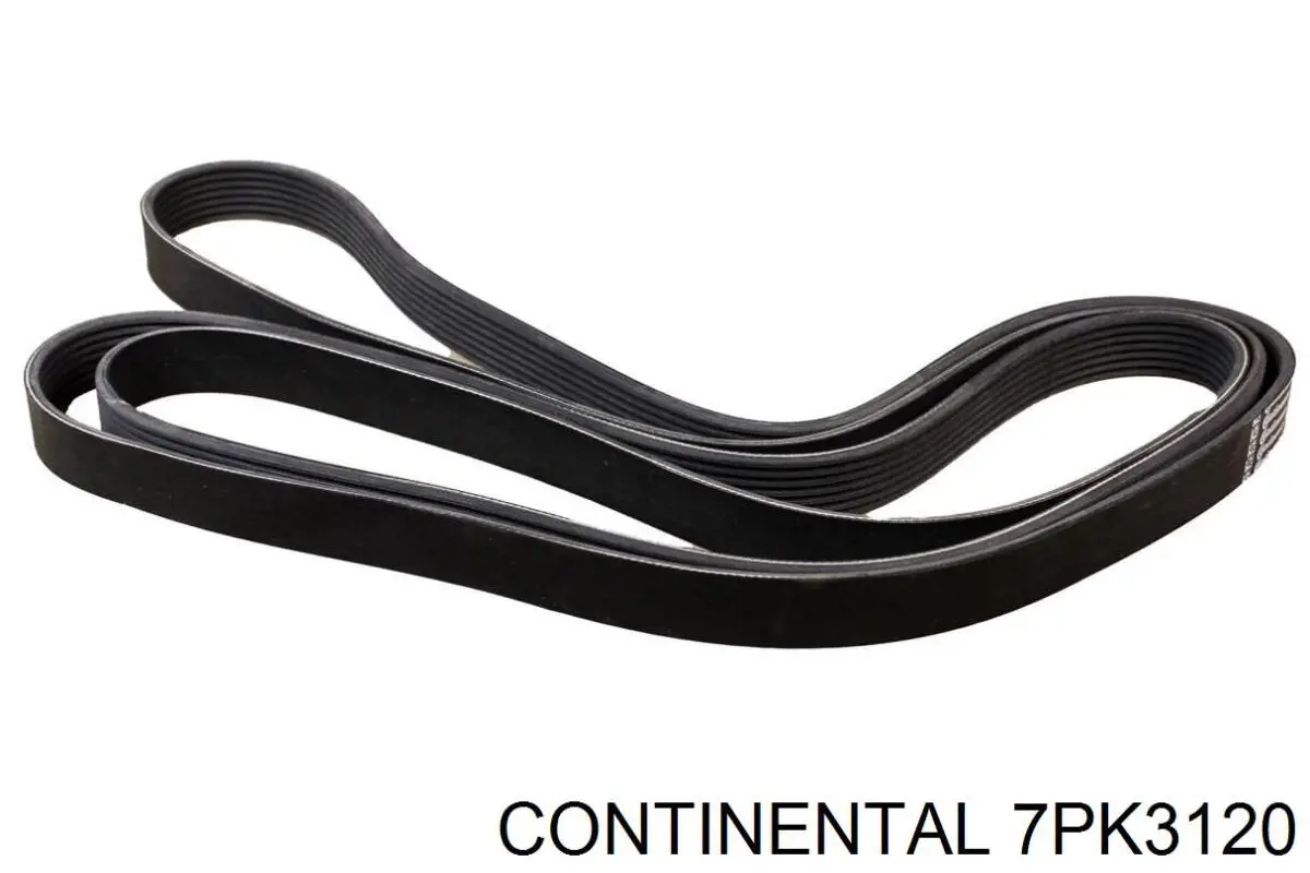 Correa de transmisión trapezoidal Febi 174115 precio, desde 30,61 EUR