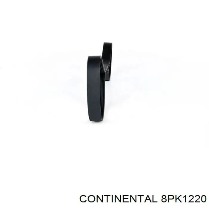 8PK1220 Continental/Siemens correa trapezoidal
