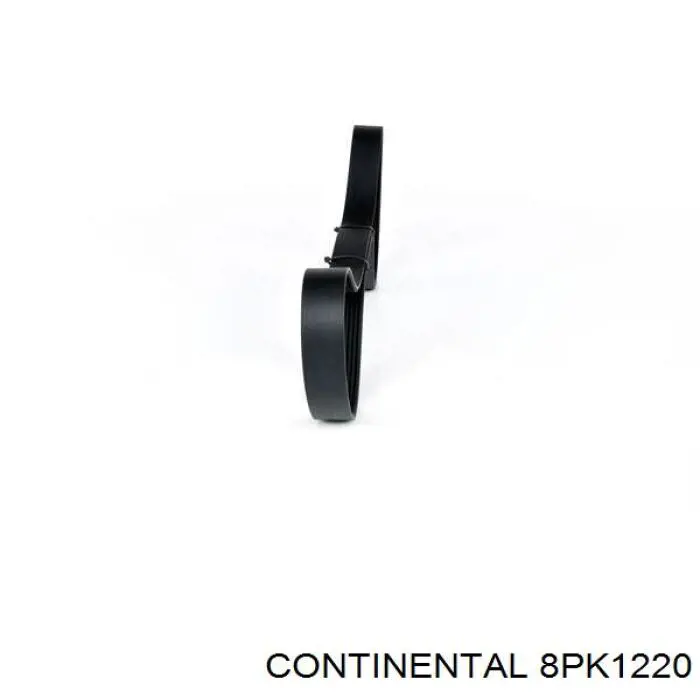 Correa de transmisión trapezoidal Continental/Siemens 8PK1220 precio, desde 21,99 EUR
