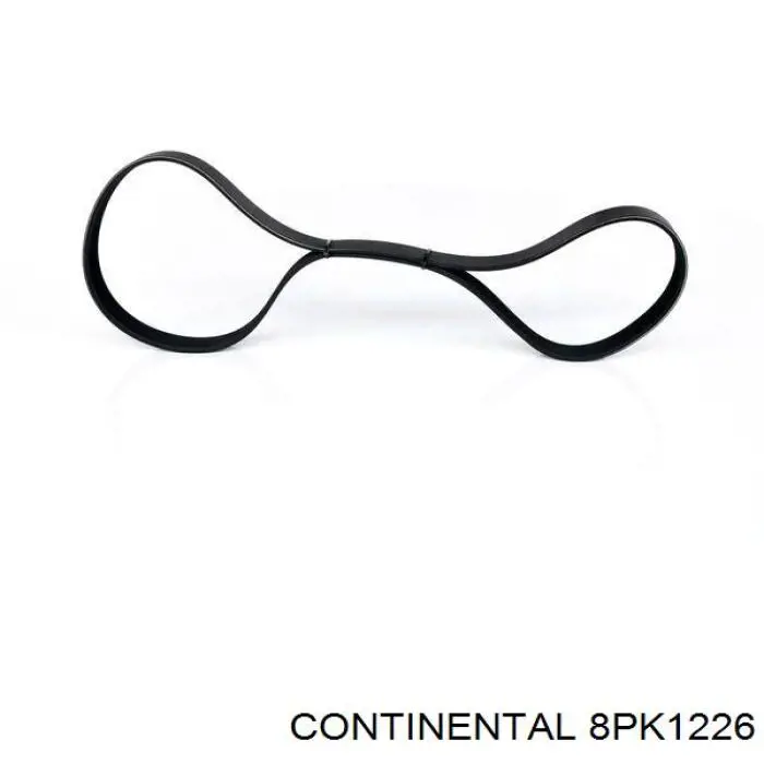 8PK1226 Continental/Siemens Correa poly v