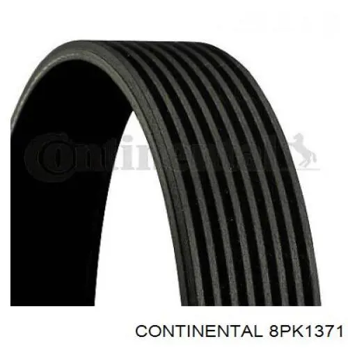 Correa de transmisión trapezoidal Continental/Siemens 8PK1371 precio, desde 20,78 EUR