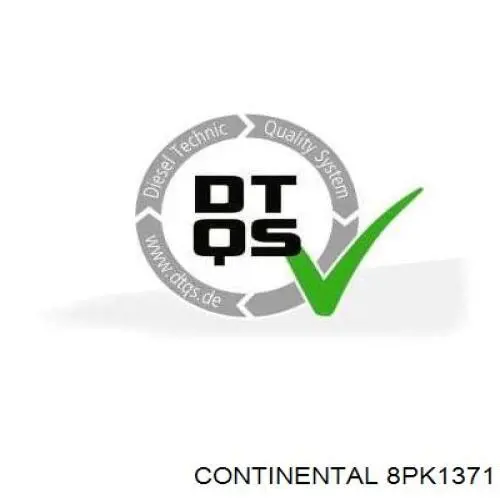 Correa de alternador 8PK1371 Continental/Siemens