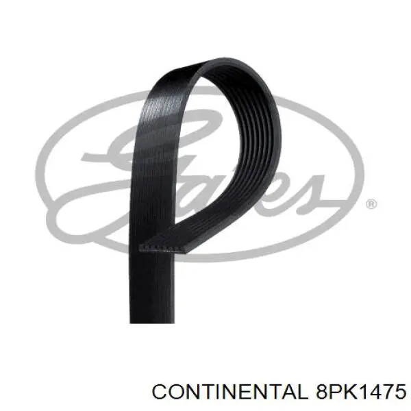 8PK1475 Continental/Siemens Correa poly v