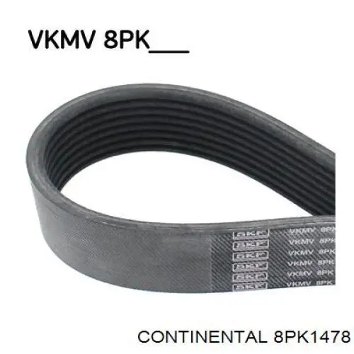 Correa de transmisión trapezoidal Continental/Siemens 8PK1478 precio, desde 25,76 EUR