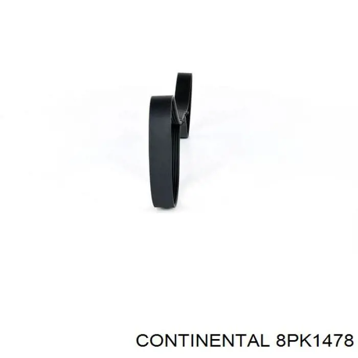 8PK1478 Continental/Siemens Correa poly v