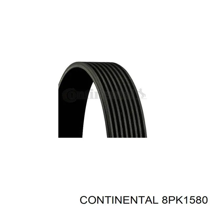 Correa accesorios Dayco 8PK1575