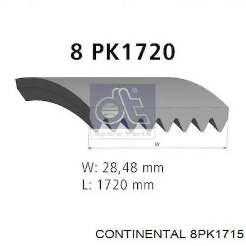Correa de transmisión trapezoidal Continental/Siemens 8PK1715 precio, desde 52,57 EUR