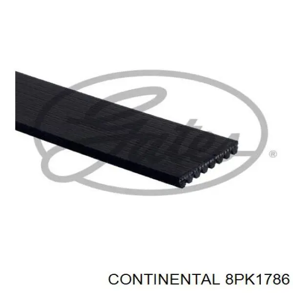 Comprar 8PK1786 Continental/Siemens Correa trapezoidal