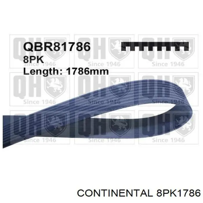 8PK1786 Continental/Siemens Correa poly v