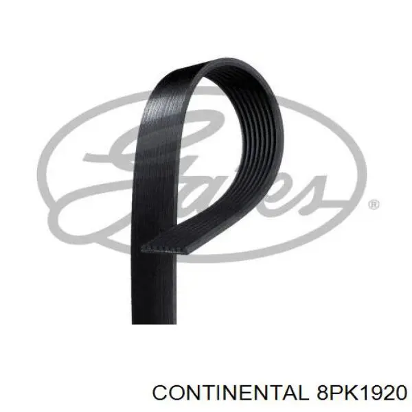 Comprar 8PK1920 Continental/Siemens Correa trapezoidal
