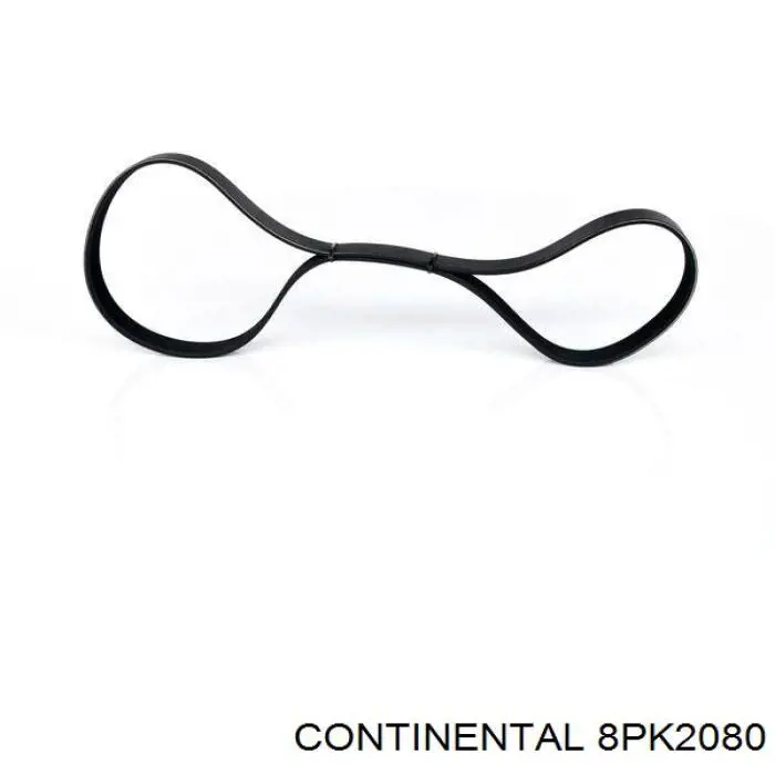 Comprar 29076 Febi Correa trapezoidal