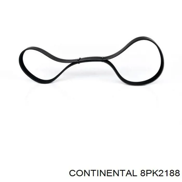 Correa de transmisión trapezoidal Continental/Siemens 8PK2188 precio, desde 60,69 EUR