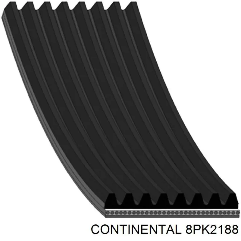 Correa de alternador 8PK2188 Continental/Siemens