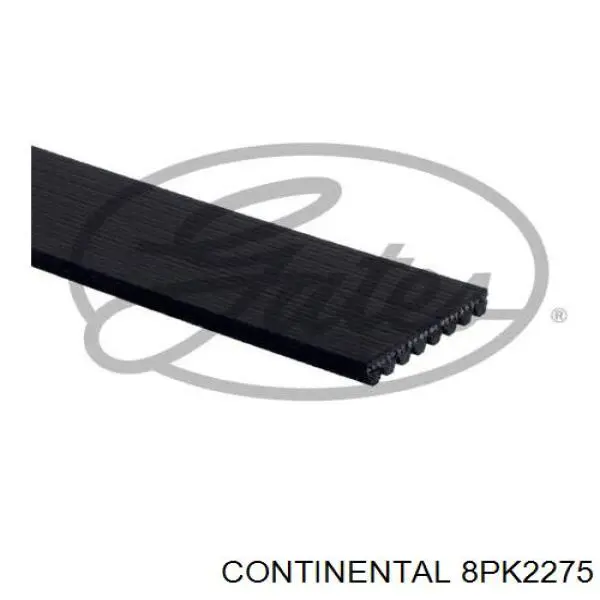 Correa de transmisión trapezoidal Continental/Siemens 8PK2275 precio, desde 16,94 EUR