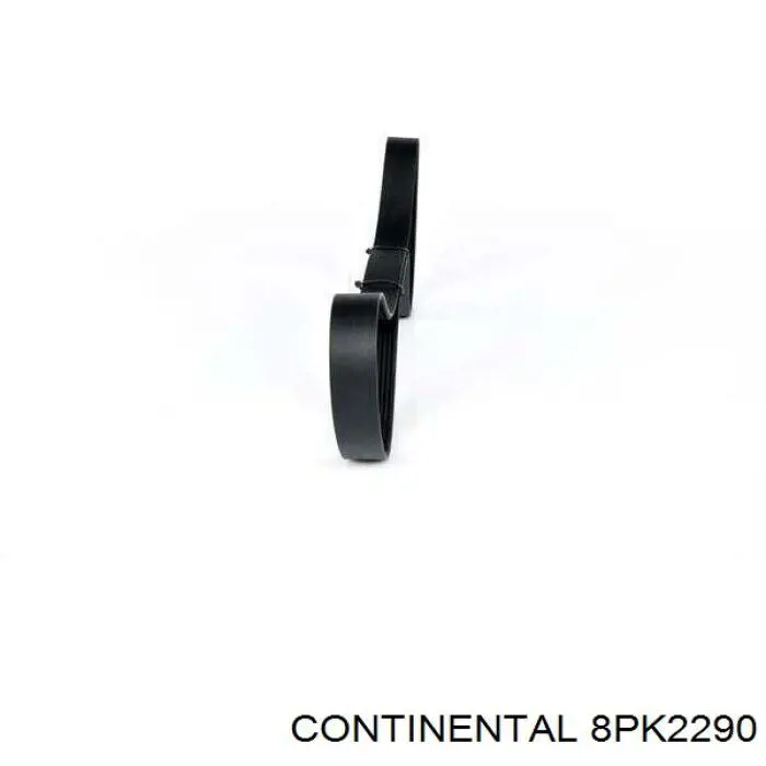 Correa de transmisión trapezoidal Continental/Siemens 8PK2290 precio, desde 52,84 EUR