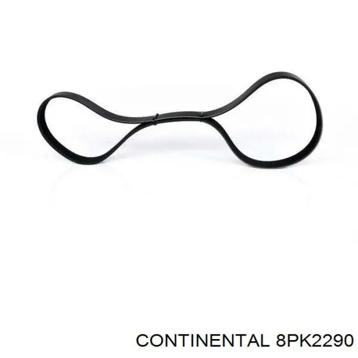 Correa de alternador 8PK2290 Continental/Siemens