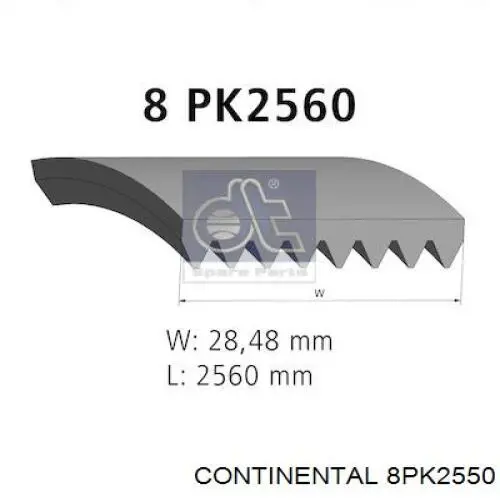 Correa de transmisión trapezoidal Continental/Siemens 8PK2550 precio, desde 58,03 EUR