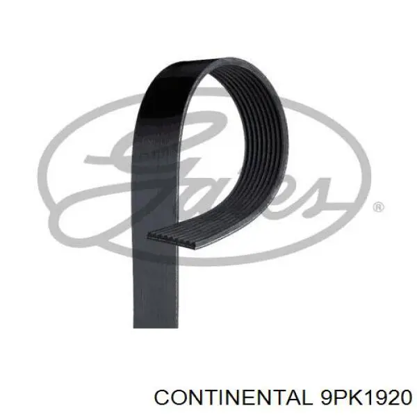 Correa de alternador 9PK1920 Continental/Siemens