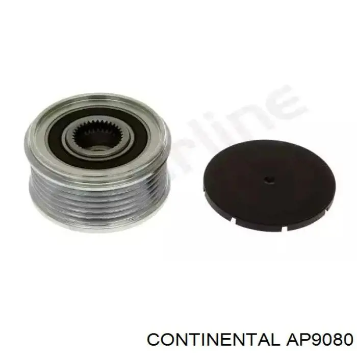 Polea alternador AP9080 Continental/Siemens