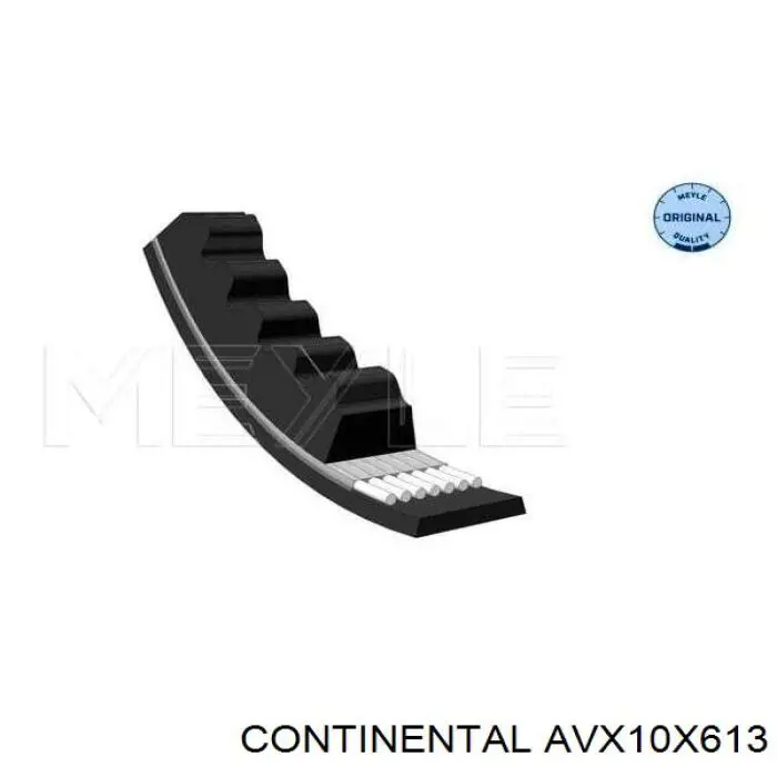 AVX10X613 Continental/Siemens correa trapezoidal