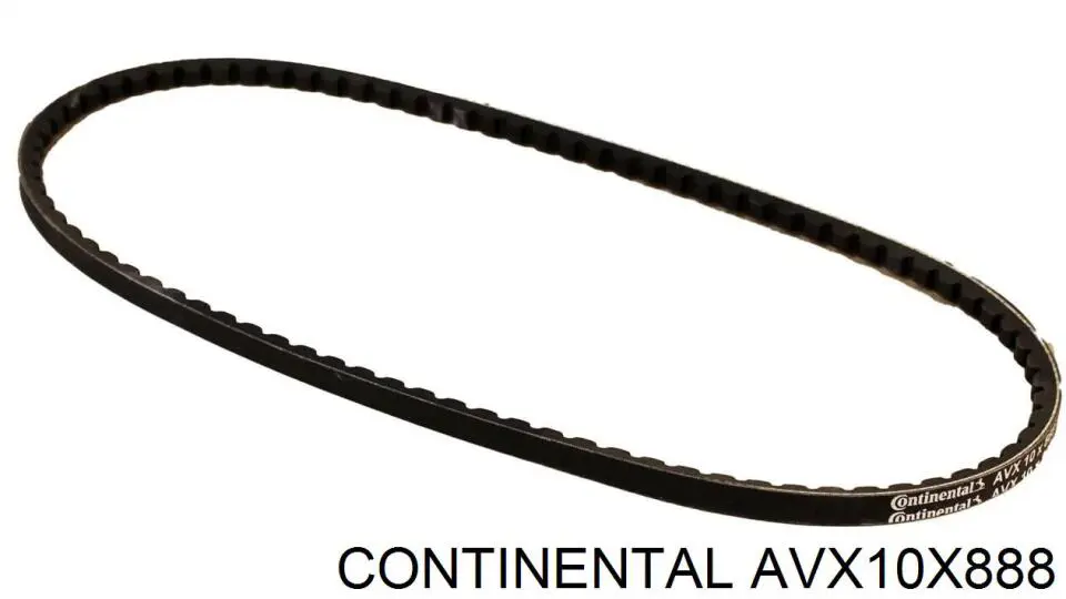 Correa de transmisión trapezoidal Continental/Siemens AVX10X888 precio, desde 9,70 EUR