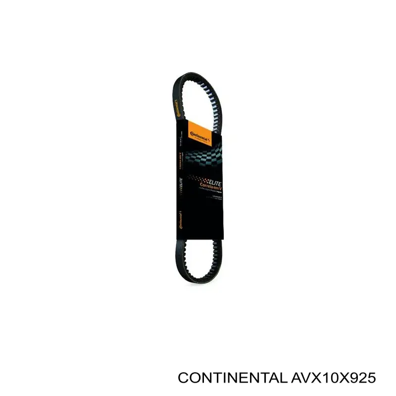 AVX10X925 Continental/Siemens Correa poly v