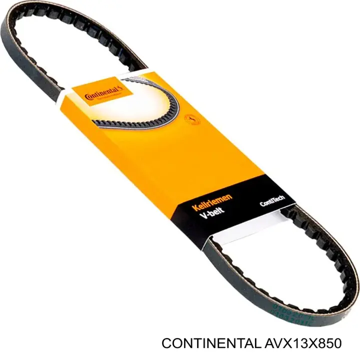 AVX13X850 Continental/Siemens Correa poly v