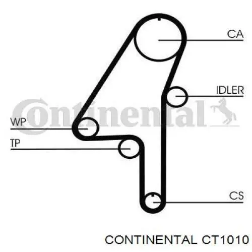 CT1010 Continental/Siemens correa distribucion