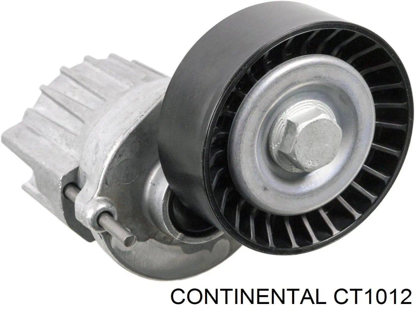 Comprar CT1012 Continental/Siemens Correa distribución