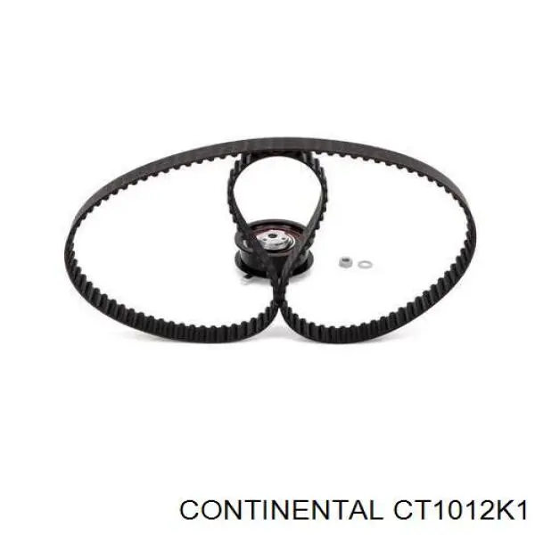Kit de distribución CT1012K1 Continental/Siemens