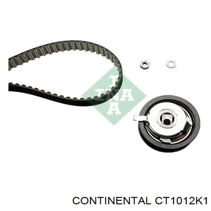 28198119G VAG kit correa de distribución