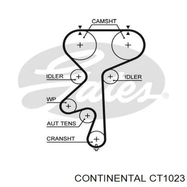 90531857 Opel Correa dentada