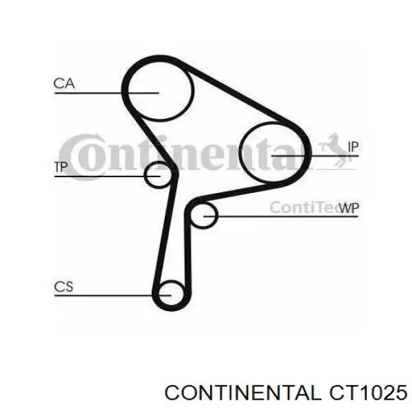 CT1025 Continental/Siemens correa distribución