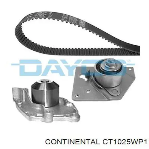 CT1025WP1 Continental/Siemens kit correa de distribución