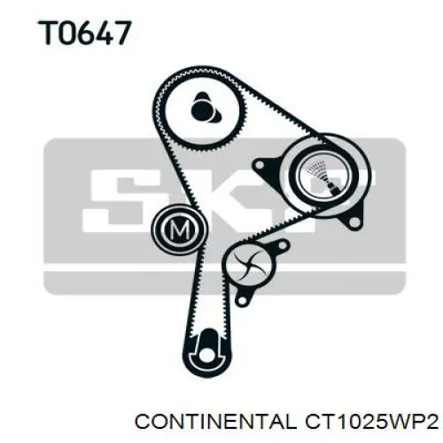 Juego de correas dentadas Continental/Siemens CT1025WP2 precio, desde 290,02 EUR