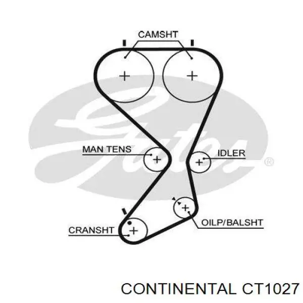 CT1027 Continental/Siemens correa distribucion