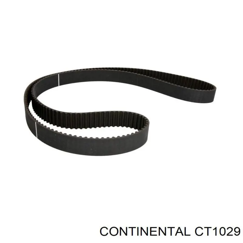 CT1029 Continental/Siemens Correa dentada