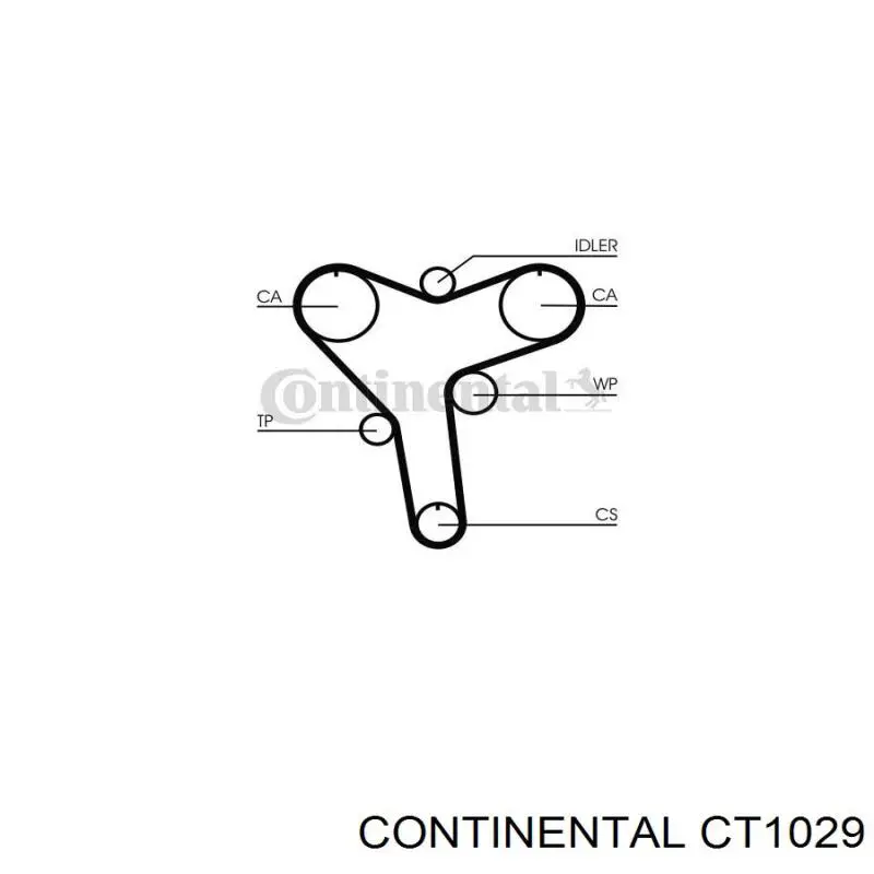 CT1029 Continental/Siemens correa distribución