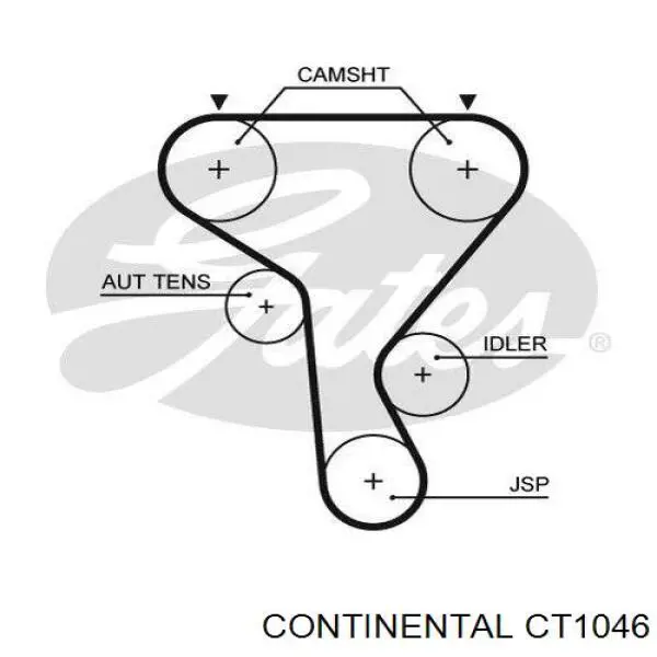 CT1046 Continental/Siemens correa distribucion