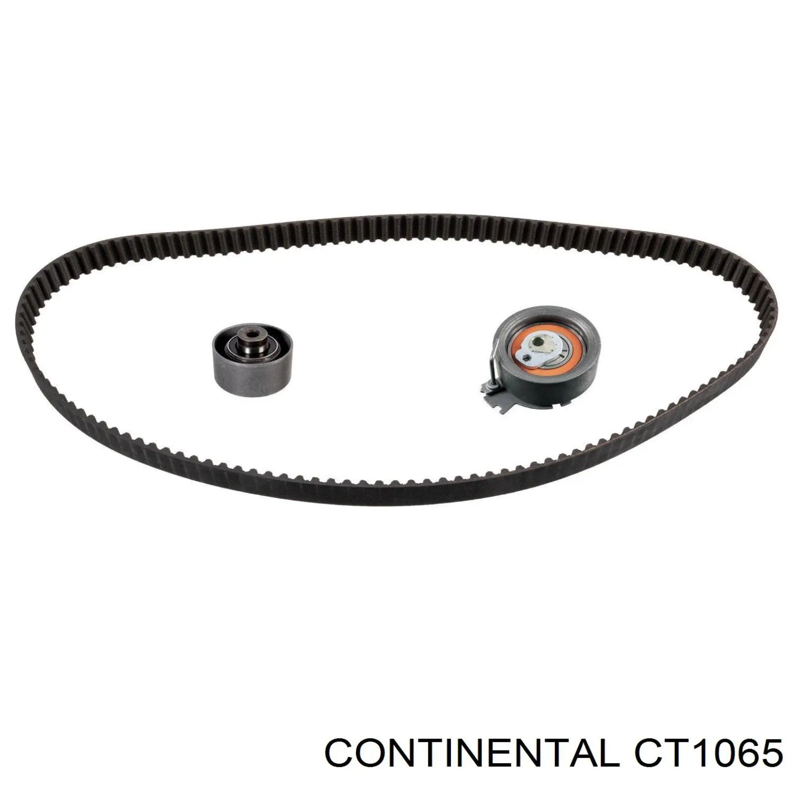 Correa de distribución Continental/Siemens CT1065