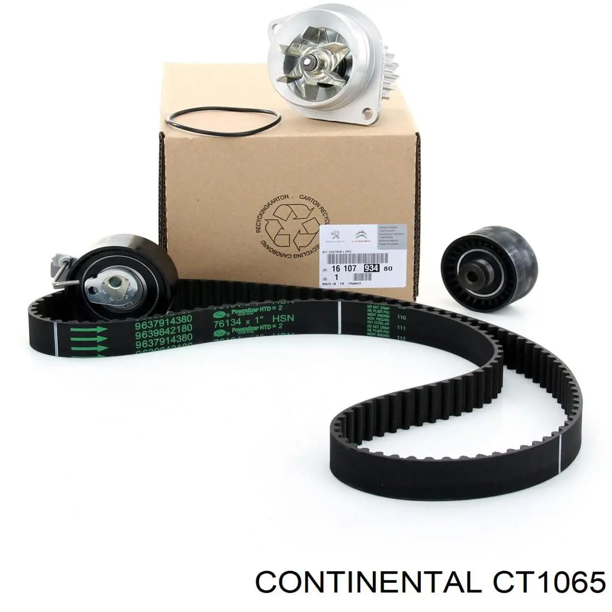 Correa distribución CT1065 Continental/Siemens