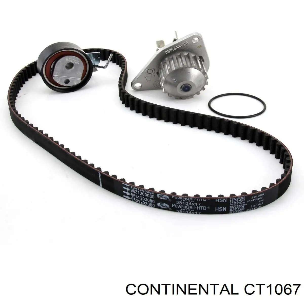 CT1067 Continental/Siemens correa distribucion