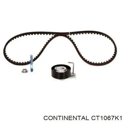 Juego de correas dentadas Peugeot/Citroen 831S0 precio, desde 48,69 EUR
