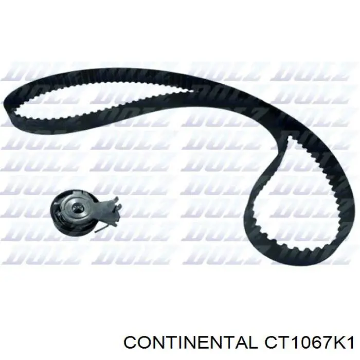 Comprar 831S0 Peugeot/Citroen Kit de correa de distribución