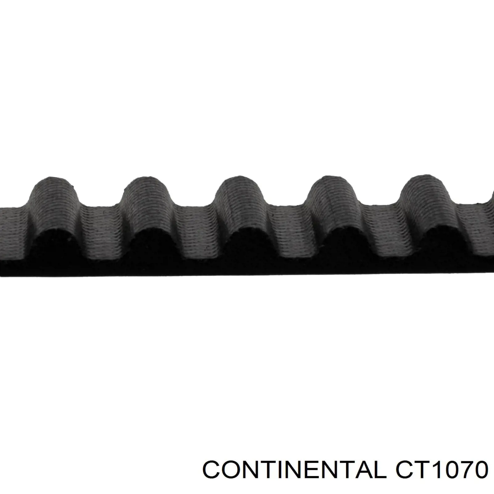 Comprar CT1070 Continental/Siemens Correa distribución